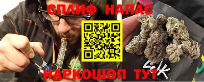 apvp Краснодар