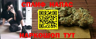 apvp Краснодар