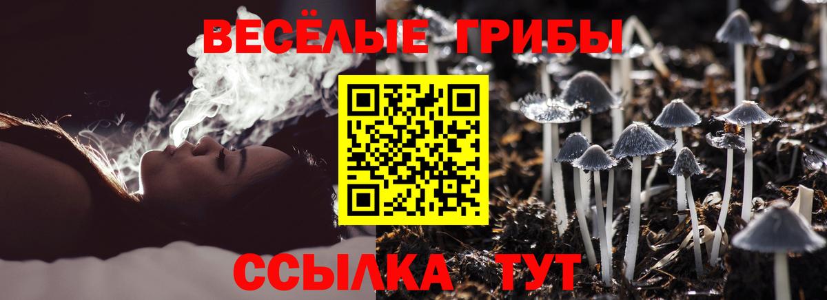 Галлюциногенные грибы мухоморы Шадринск