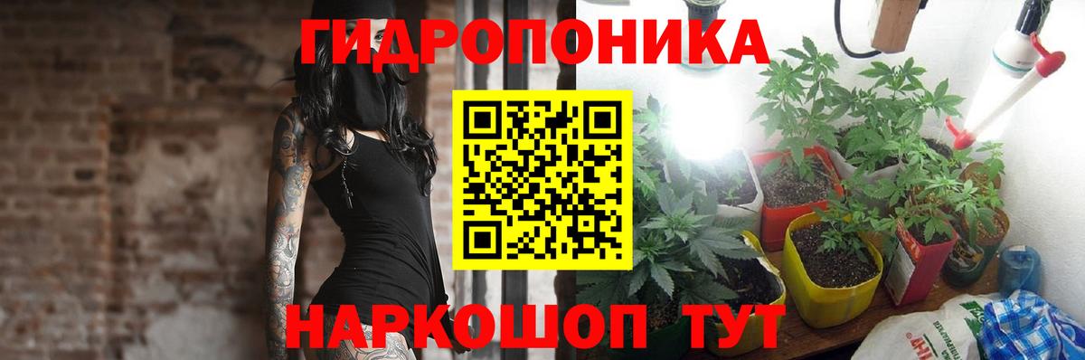 Канабис планчик Шадринск